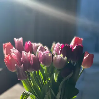 雪、楽しみ、お母さん