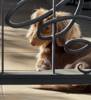 そんなところに隠し包丁