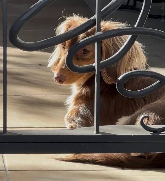 そんなところに隠し包丁